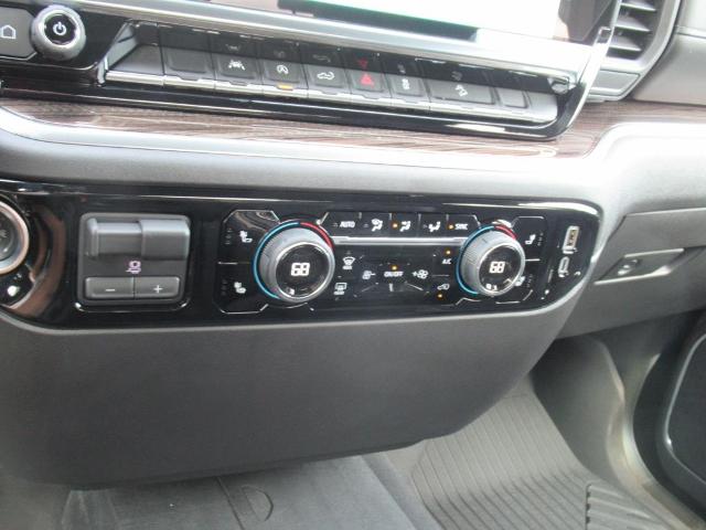 2025 Chevrolet Silverado 1500 Vehicle Photo in LEESBURG, FL 34788-4022