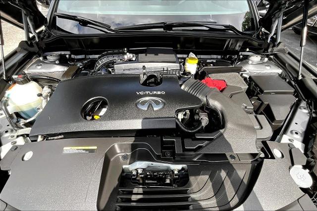 2023 INFINITI QX55 Vehicle Photo in San Antonio, TX 78230