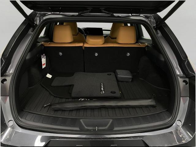2025 Lexus UX 300h Vehicle Photo in Appleton, WI 54913
