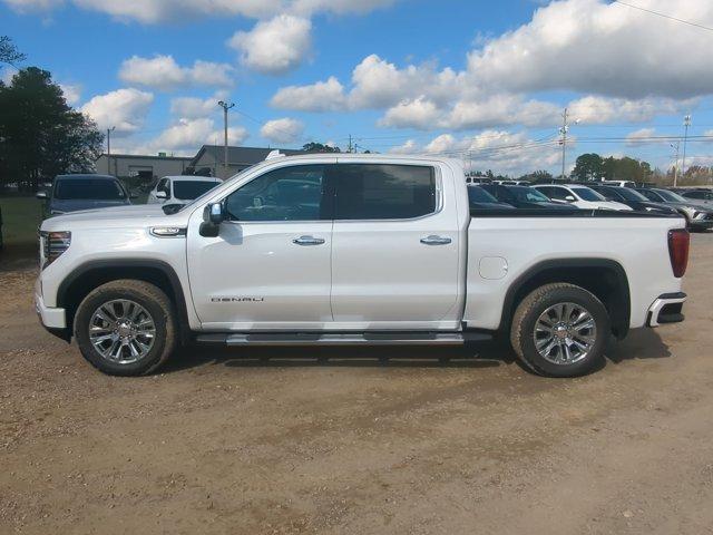 2025 GMC Sierra 1500 Vehicle Photo in ALBERTVILLE, AL 35950-0246