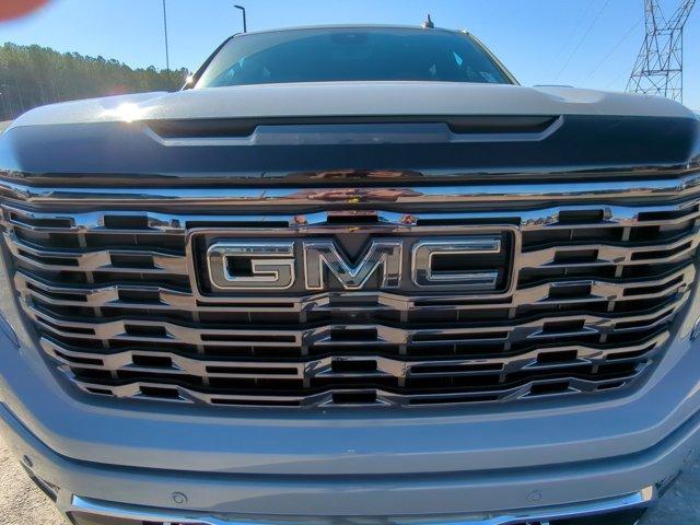 2025 GMC Sierra 1500 Vehicle Photo in ALBERTVILLE, AL 35950-0246