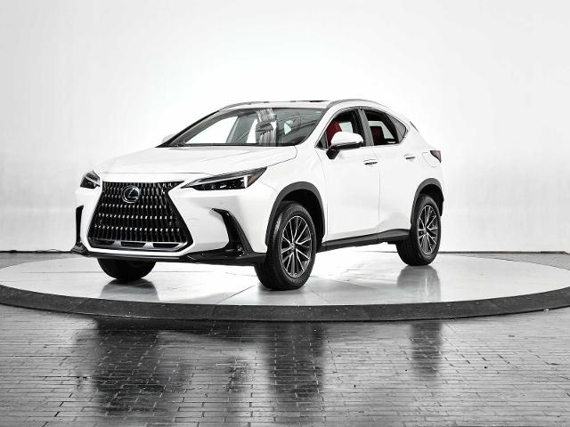 2025 Lexus NX 250 Vehicle Photo in DALLAS, TX 75235