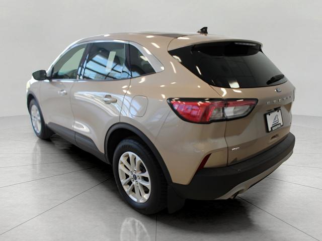 2020 Ford Escape Vehicle Photo in Green Bay, WI 54304