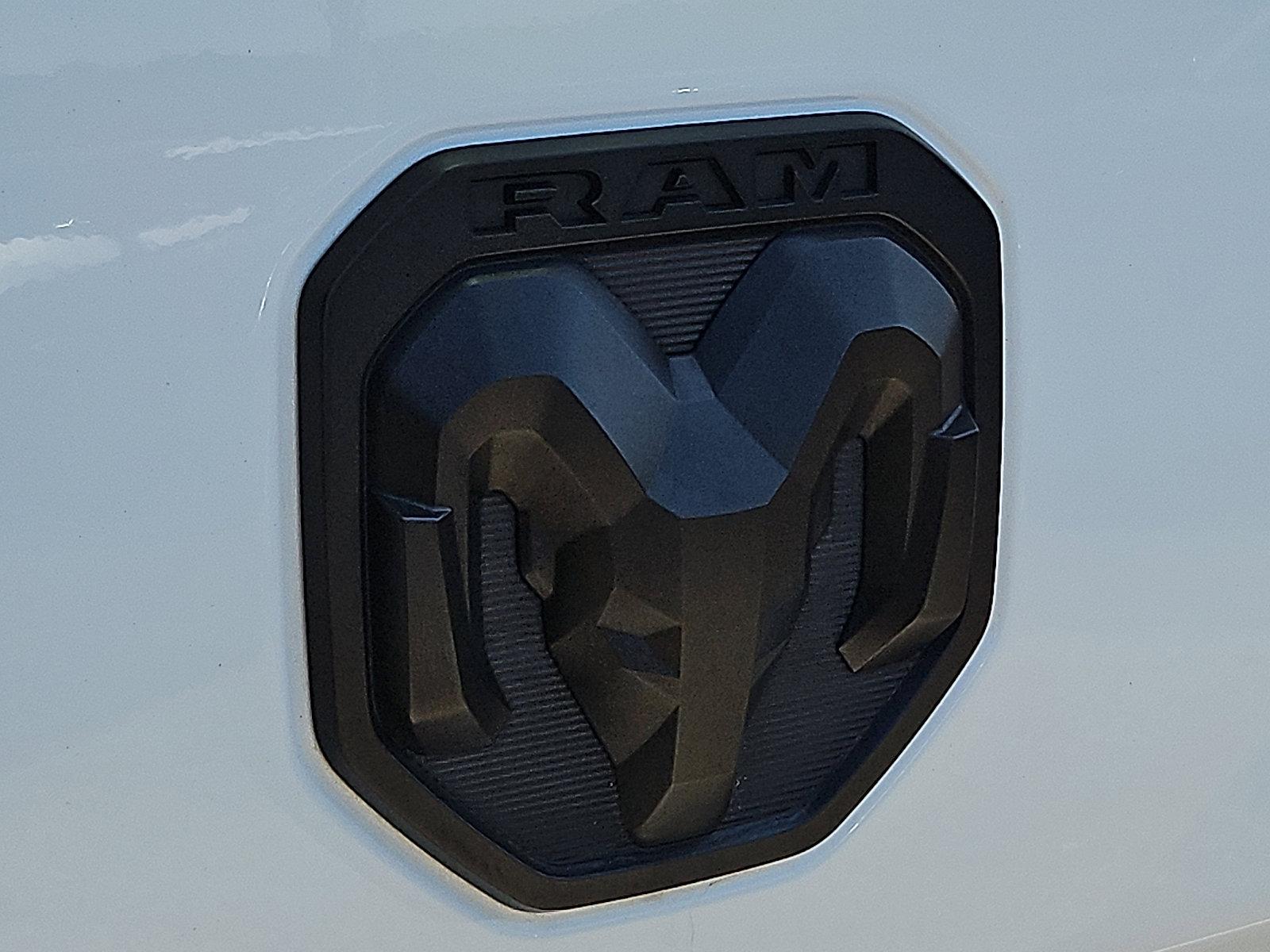 2024 Ram 2500 Vehicle Photo in Jenkintown, PA 19046