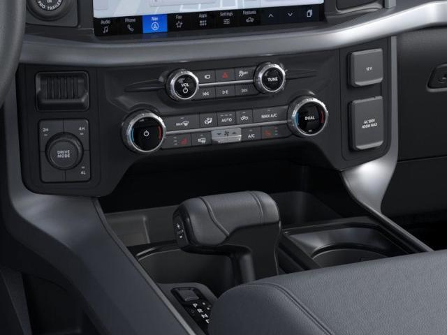 2025 Ford F-150 Vehicle Photo in Weatherford, TX 76087