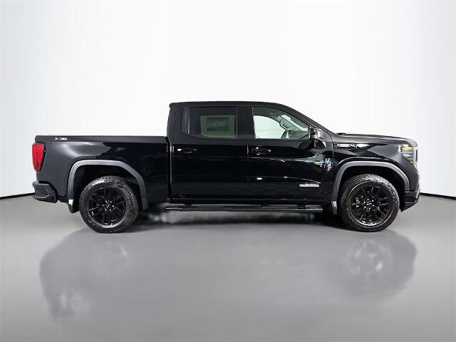2025 GMC Sierra 1500 Vehicle Photo in PUYALLUP, WA 98371-4149