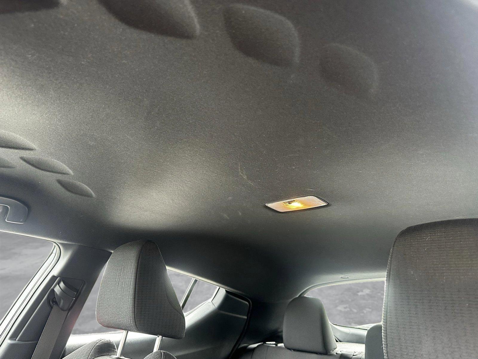 2019 Toyota C-HR Vehicle Photo in Hollywood, FL 33021