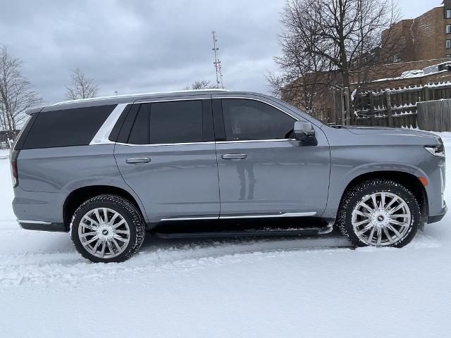 2021 Cadillac Escalade Vehicle Photo in BEACHWOOD, OH 44122-4298