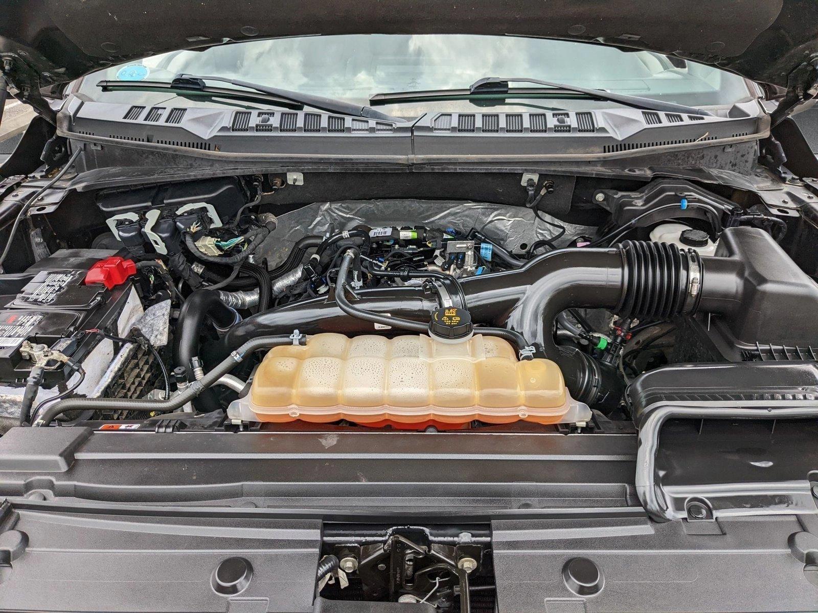 2019 Ford F-150 Vehicle Photo in Winter Park, FL 32792