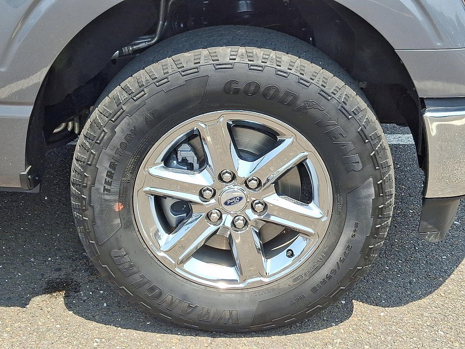 2024 Ford F-150 Vehicle Photo in Trevose, PA 19053
