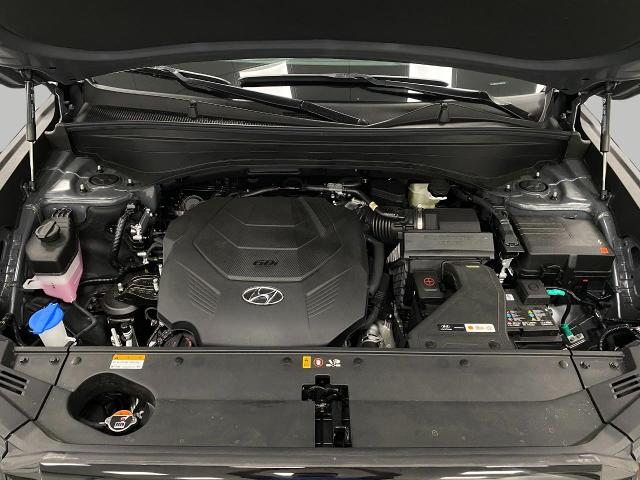 2025 Hyundai PALISADE Vehicle Photo in Appleton, WI 54913