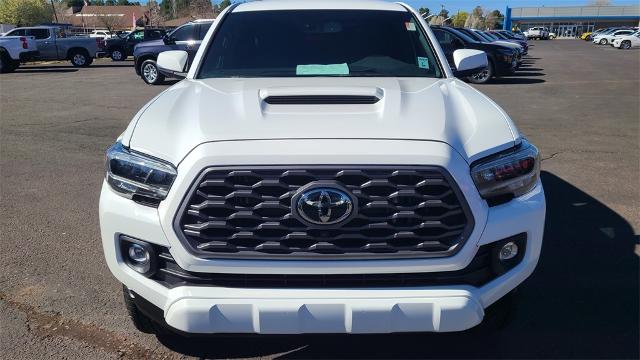 2023 Toyota Tacoma 4WD Vehicle Photo in FLAGSTAFF, AZ 86001-6214