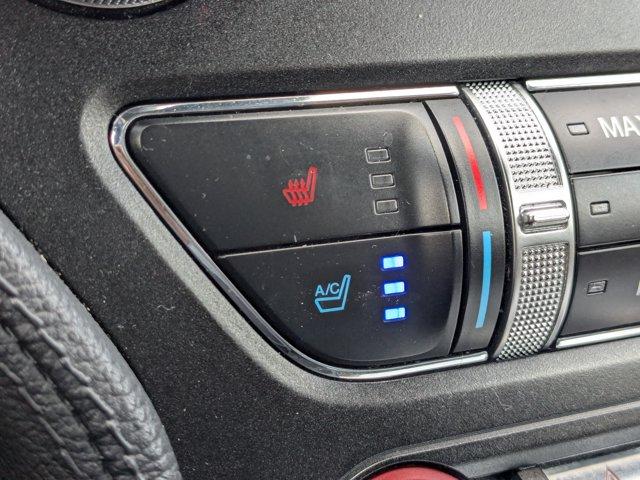 2019 Ford Mustang Vehicle Photo in BEAUFORT, SC 29906-4218