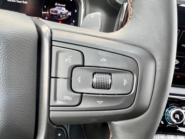 2025 GMC Sierra 1500 Vehicle Photo in EFFINGHAM, IL 62401-2832