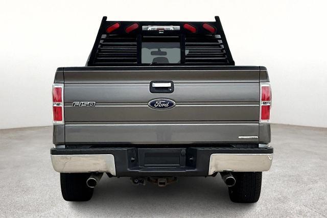 2013 Ford F-150 Vehicle Photo in San Antonio, TX 78230