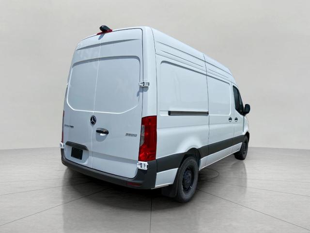2025 Mercedes-Benz Sprinter Cargo Van Vehicle Photo in Appleton, WI 54913