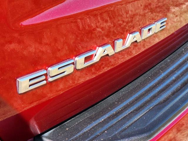 2021 Cadillac Escalade Vehicle Photo in DENTON, TX 76210-9321