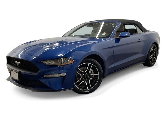 2022 Ford Mustang Vehicle Photo in PORTLAND, OR 97225-3518