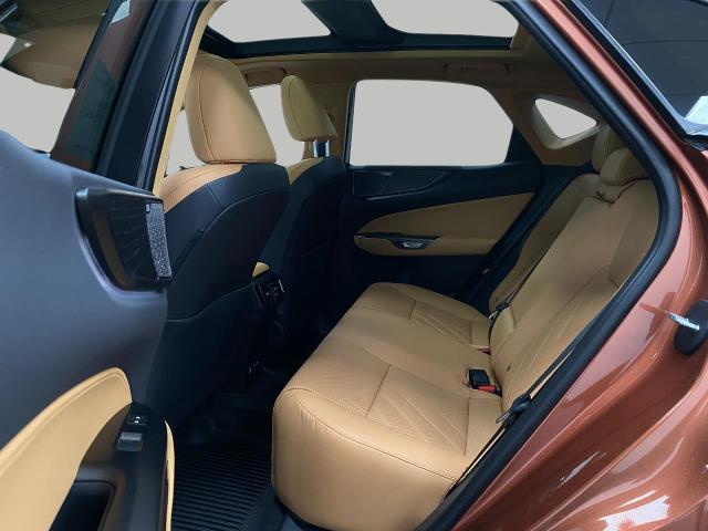 2025 Lexus NX 350 Vehicle Photo in Appleton, WI 54913