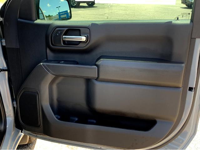 2025 GMC Sierra 1500 Vehicle Photo in BEAUFORT, SC 29906-4218