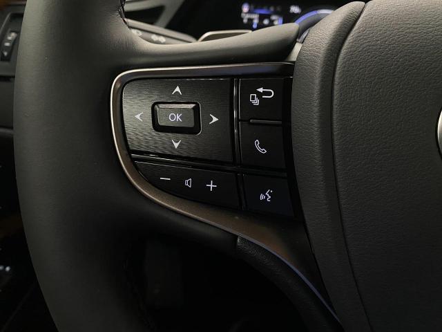 2025 Lexus ES 300h Vehicle Photo in Appleton, WI 54913