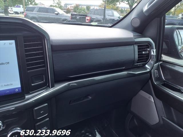 2021 Ford F-150 Vehicle Photo in Saint Charles, IL 60174