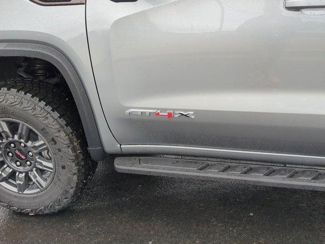 2025 GMC Sierra 1500 Vehicle Photo in ALBERTVILLE, AL 35950-0246