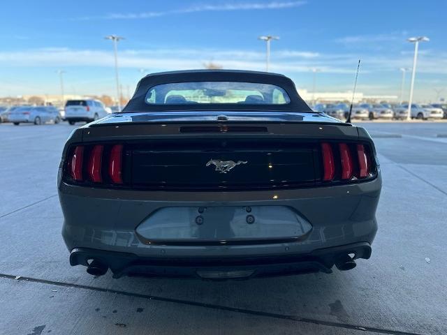 2022 Ford Mustang Vehicle Photo in San Antonio, TX 78230