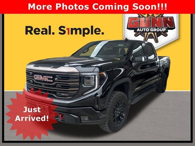 2023 GMC Sierra 1500 Vehicle Photo in SELMA, TX 78154-1459