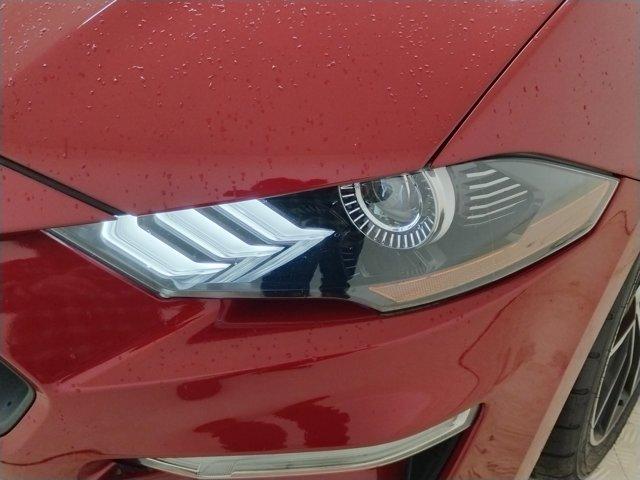 2021 Ford Mustang Vehicle Photo in Charlotte, NC 28212