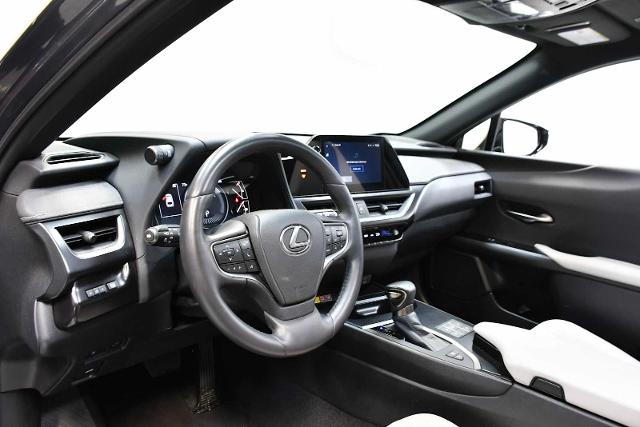2024 Lexus UX 250h Vehicle Photo in DALLAS, TX 75235