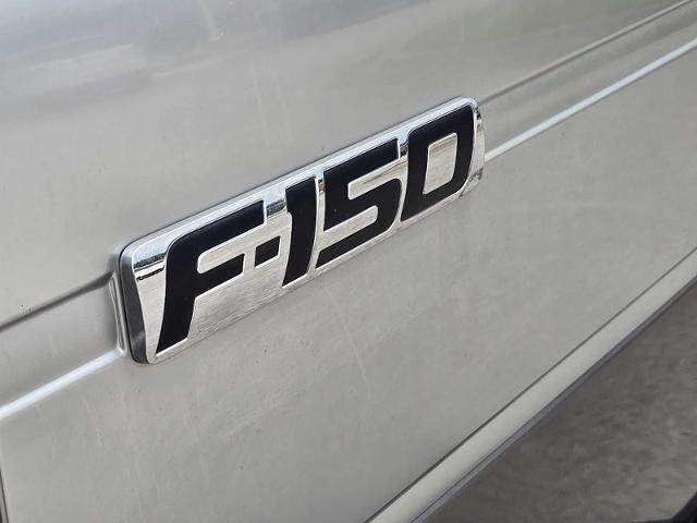 2014 Ford F-150 Vehicle Photo in DENTON, TX 76210-9321