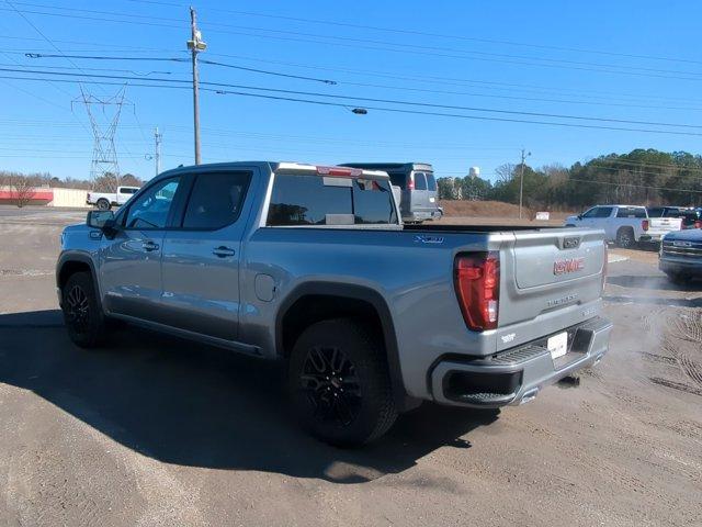 2025 GMC Sierra 1500 Vehicle Photo in ALBERTVILLE, AL 35950-0246
