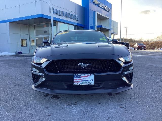 2022 Ford Mustang Vehicle Photo in Gardner, MA 01440