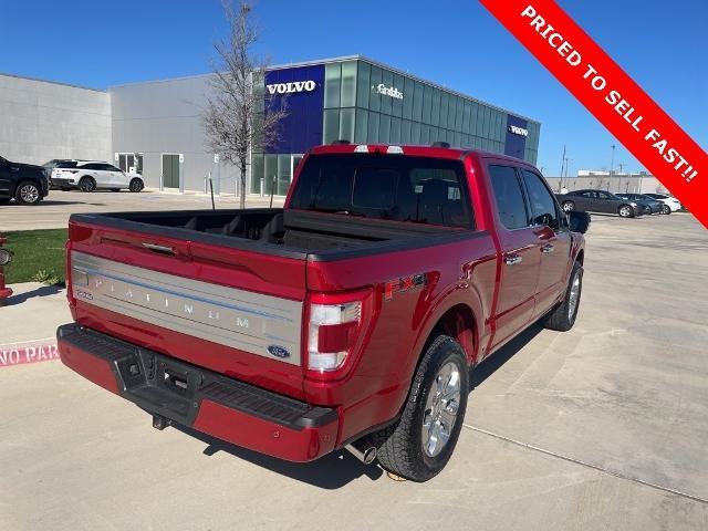 2022 Ford F-150 Vehicle Photo in San Antonio, TX 78230