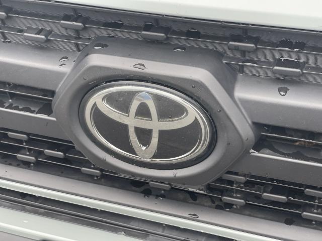 2019 Toyota RAV4 Vehicle Photo in BENTONVILLE, AR 72712-4322