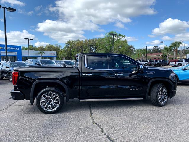 2025 GMC Sierra 1500 Vehicle Photo in BEAUFORT, SC 29906-4218