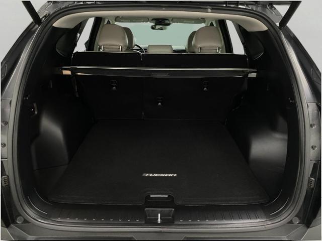 2024 Hyundai TUCSON Vehicle Photo in Appleton, WI 54913