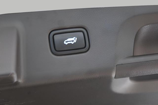 2020 Hyundai PALISADE Vehicle Photo in Green Bay, WI 54304