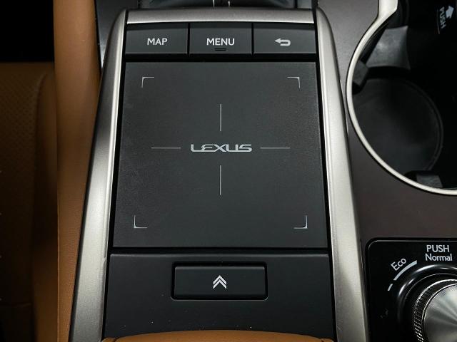 2022 Lexus RX 350 Vehicle Photo in Appleton, WI 54913