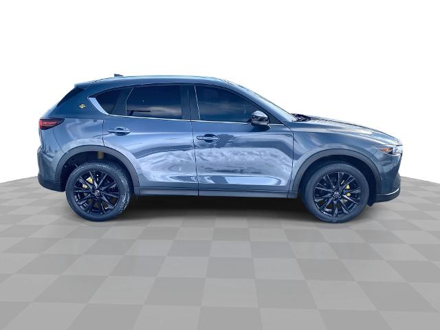 2022 Mazda CX-5 Vehicle Photo in WILLIAMSVILLE, NY 14221-2883