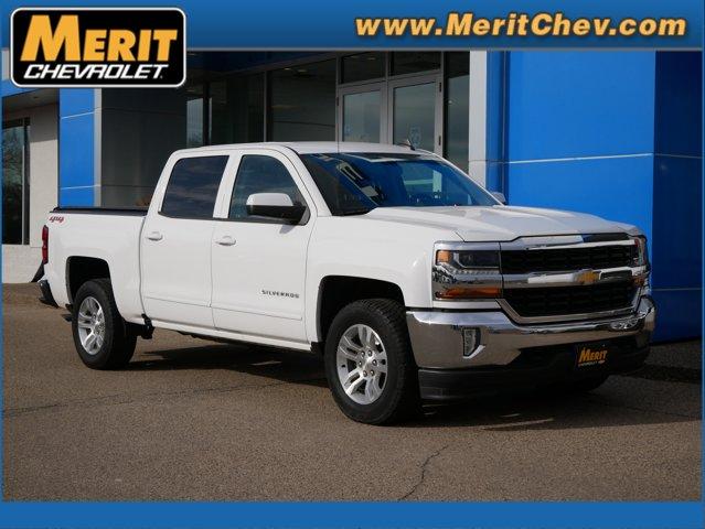 2018 Chevrolet Silverado 1500 Vehicle Photo in MAPLEWOOD, MN 55119-4794