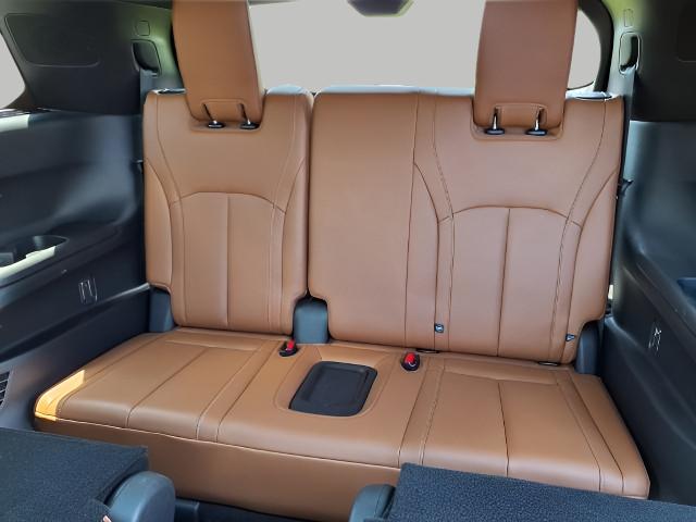 2024 INFINITI QX60 Vehicle Photo in Appleton, WI 54913