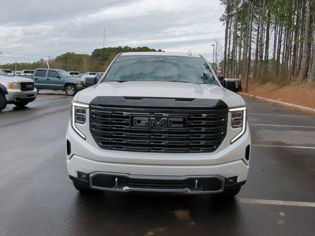 2025 GMC Sierra 1500 Vehicle Photo in ALBERTVILLE, AL 35950-0246