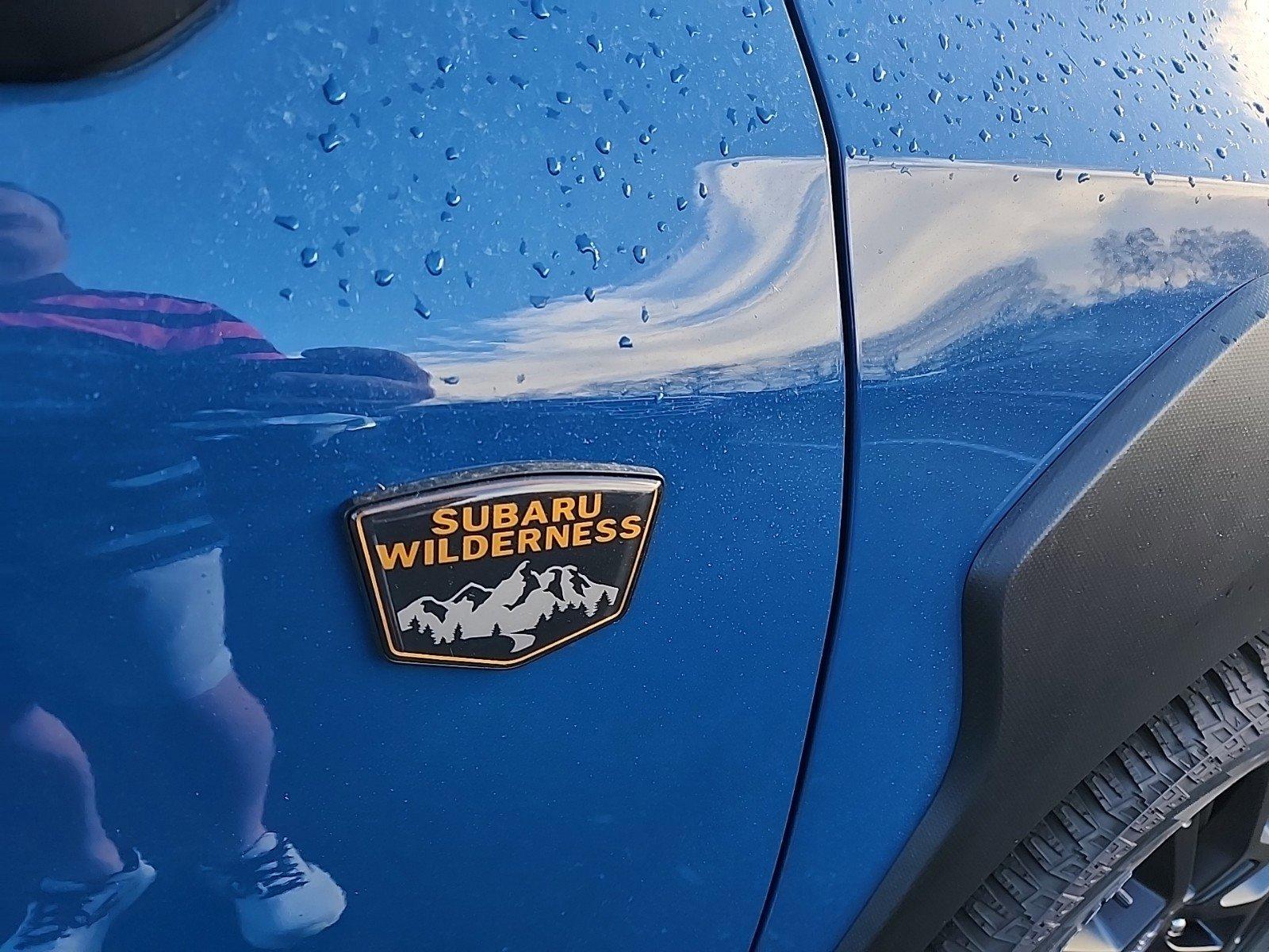 2025 Subaru Crosstrek Vehicle Photo in Mechanicsburg, PA 17050