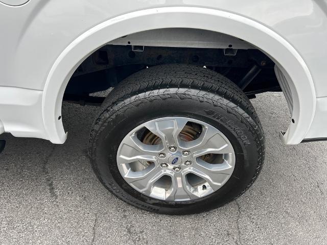 2019 Ford F-150 Vehicle Photo in Collegeville, PA 19426-2640