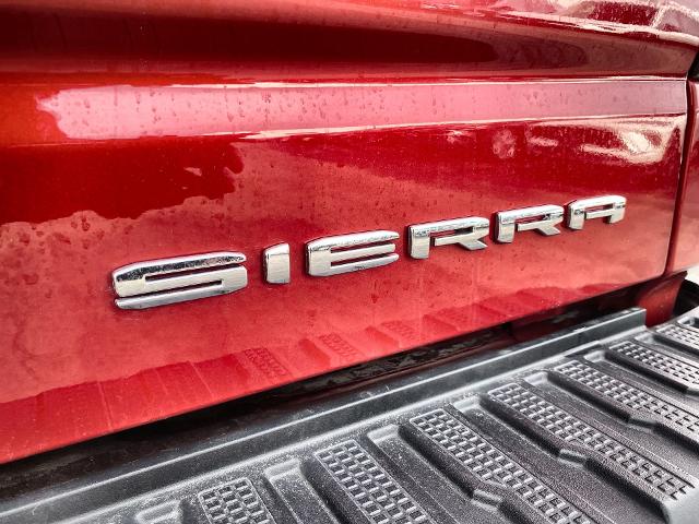 2023 GMC Sierra 1500 Vehicle Photo in WILLIAMSVILLE, NY 14221-2883