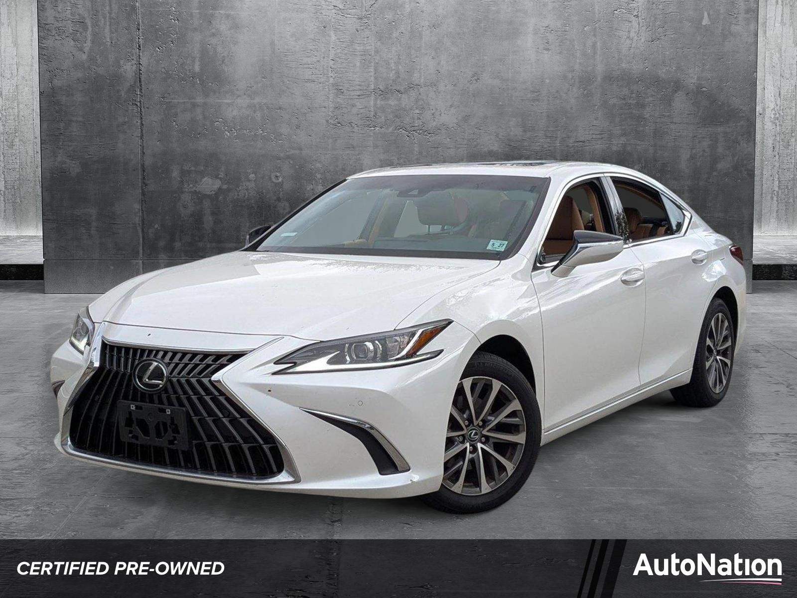 2022 Lexus ES 250 Vehicle Photo in West Palm Beach, FL 33417