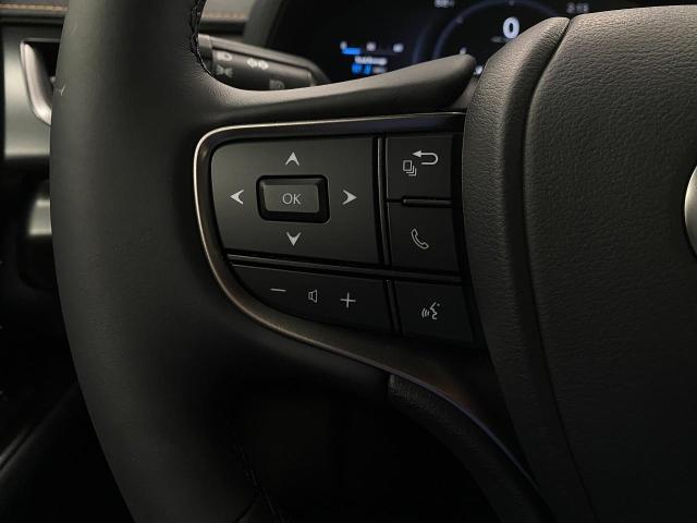 2025 Lexus UX 300h Vehicle Photo in Appleton, WI 54913