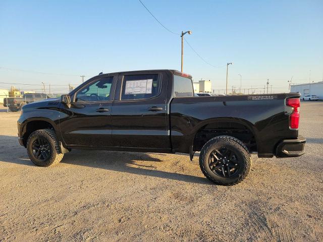 2025 Chevrolet Silverado 1500 Vehicle Photo in MIDLAND, TX 79703-7718